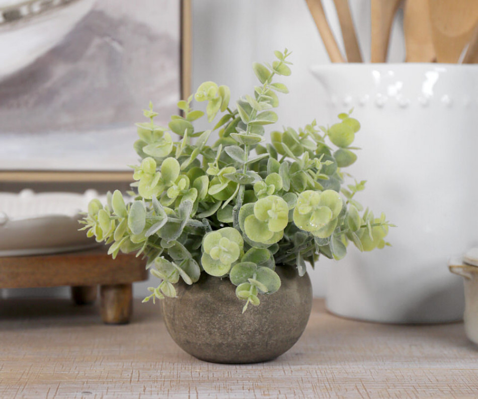 Ashton Mini Eucalyptus Potted Plant