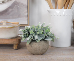 Corston Mini Flowering Potted Plant