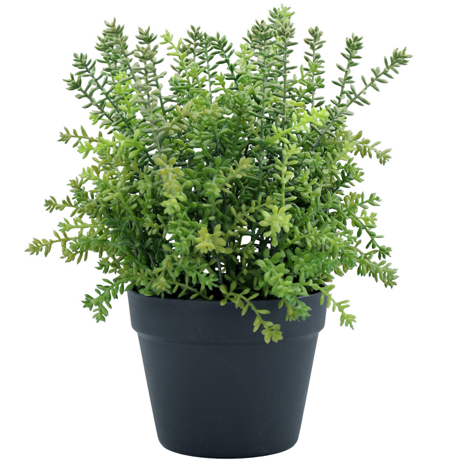 Large Merion Sedum Potted Plant, an artificial plant arranged for indoor display
