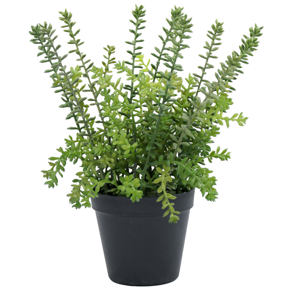 Small Merion Sedum Potted Plant, an artificial plant arranged for indoor display