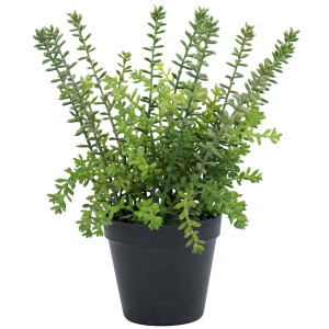 Small Merion Sedum Potted Plant, an artificial plant arranged for indoor display