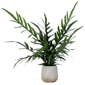 Cavella Star Fern Potted Plant, an artificial plant arranged for indoor display