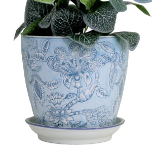 Medium Swanson Blue Lace Plant Pot
