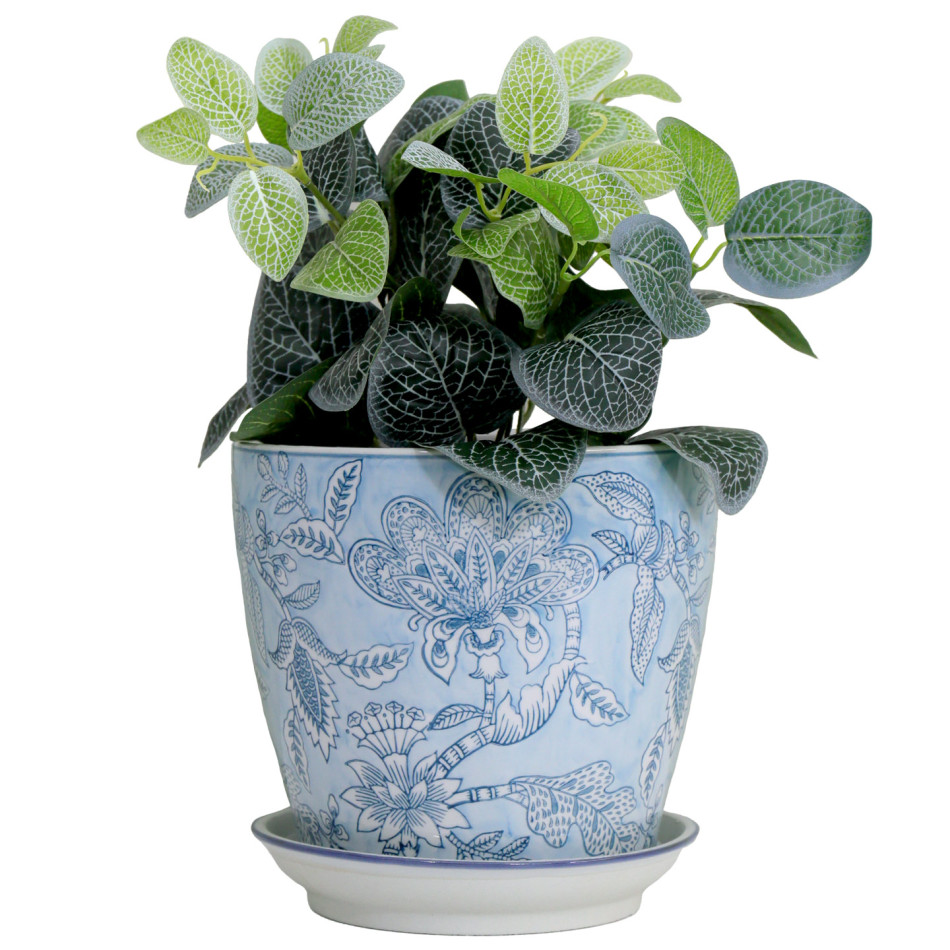 Blue floral ceramic plant pot and saucer holding broad green leaves with white veins against a white background