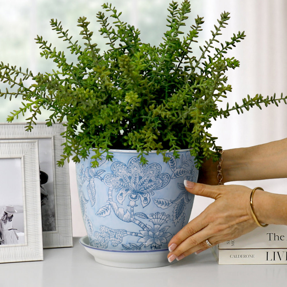 Blue floral plant pot with green foliage on a white console beside silver frames and books