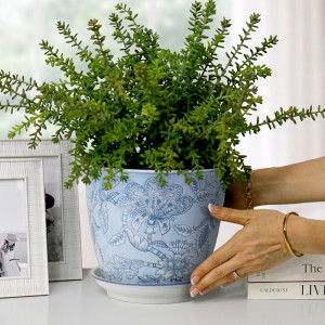 Blue floral plant pot with green foliage on a white console beside silver frames and books