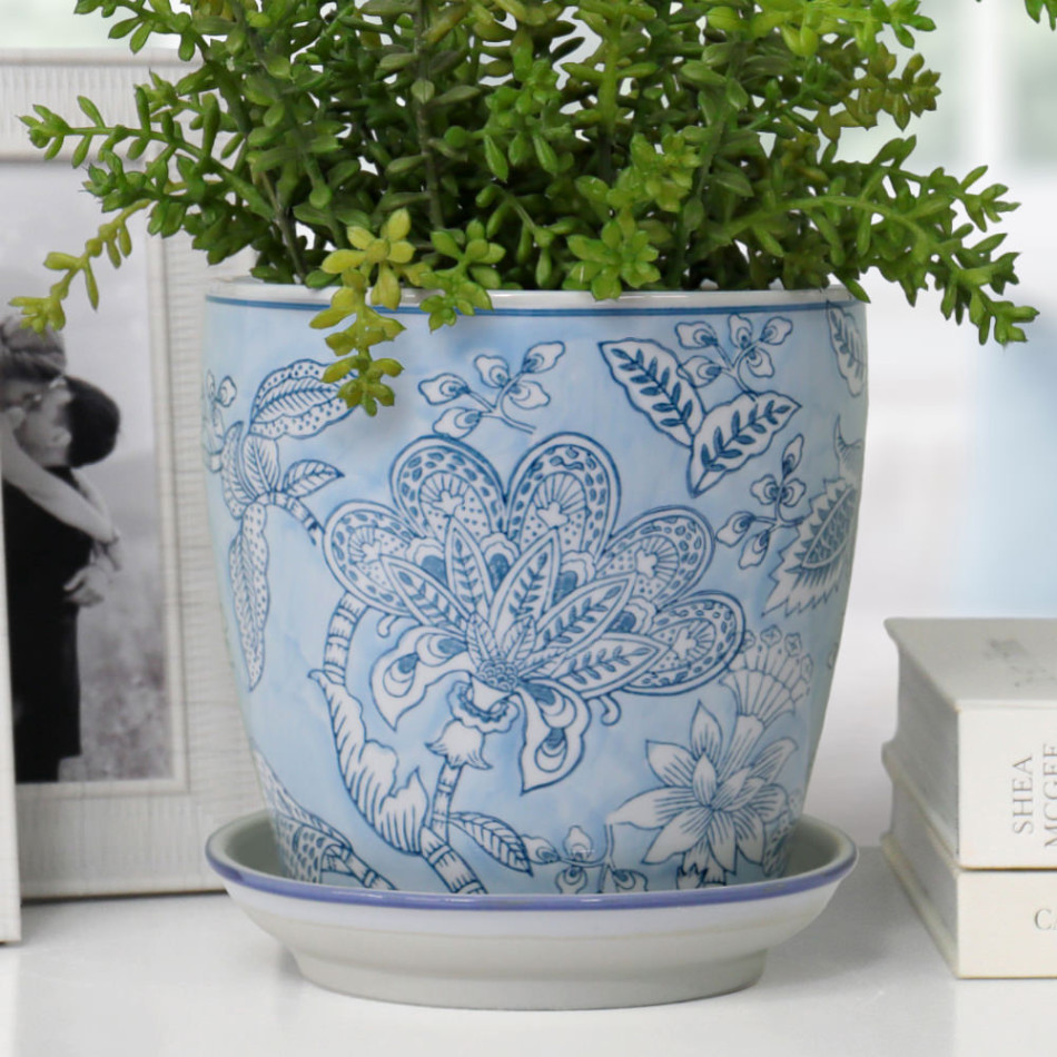 Close-up of a blue floral ceramic plant pot and white saucer with green foliage beside a photo frame and books