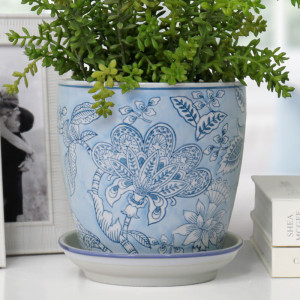 Close-up of a blue floral ceramic plant pot and white saucer with green foliage beside a photo frame and books