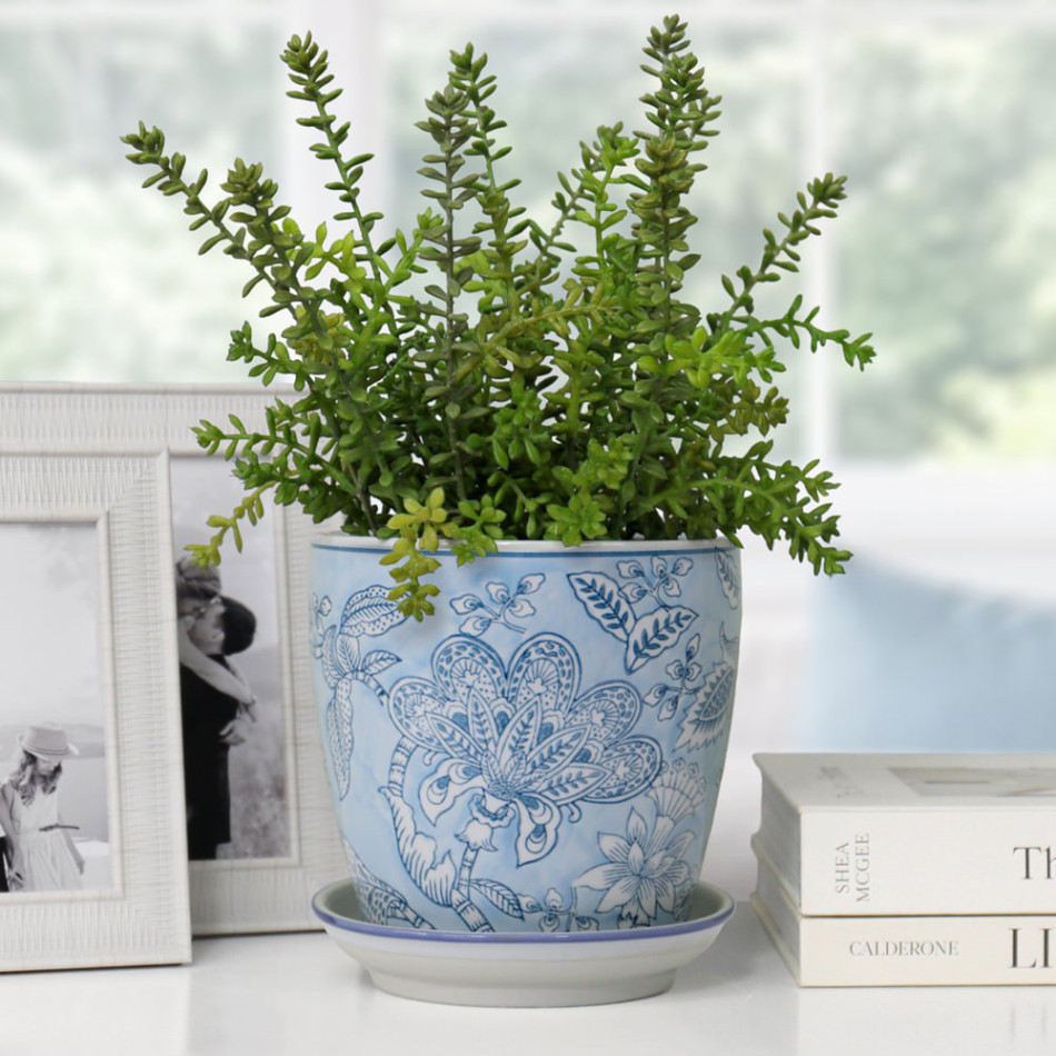 Blue floral plant pot and saucer holding green foliage on a white console beside white photo frames and books