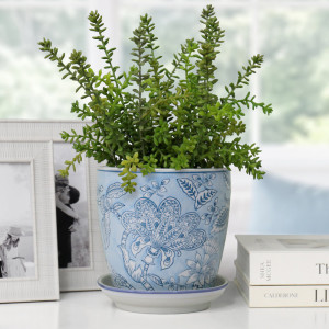 Blue floral plant pot and saucer holding green foliage on a white console beside white photo frames and books