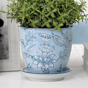 Close-up of a pale blue floral ceramic plant pot and white saucer filled with narrow green foliage