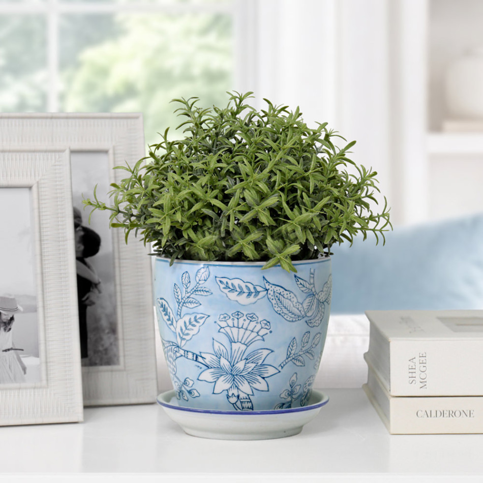 Blue floral plant pot with green foliage on a white console between white photo frames and stacked books