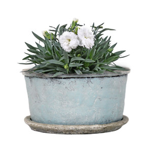 Small Harrington Bluewash Wide Planter, designed as a decorative container for a favourite plant