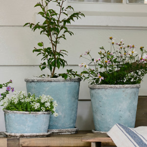 Small Harrington Bluewash Wide Planter, a plant display piece suited to adding greenery to a styled space