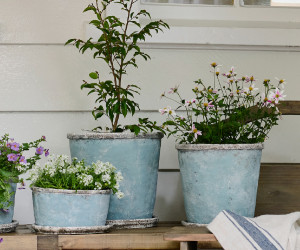 Medium Harrington Bluewash Taper Plant Pot