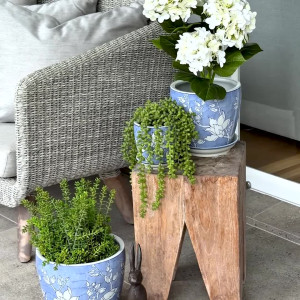 Extra Small Carlisle Magnolia Planter Pot
