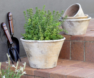 Large Woolcott Taper Plant Pot