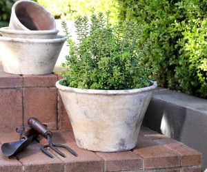 Large Woolcott Taper Plant Pot