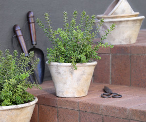 Medium Woolcott Taper Plant Pot