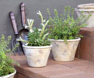 Small Woolcott Taper Plant Pot