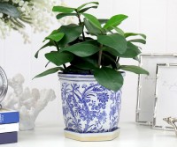 Cotswold Floral Planter Pot - Small