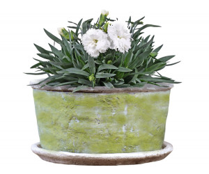 Small Harrington Green Wide Planter