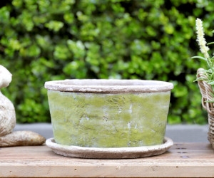 Small Harrington Green Wide Planter