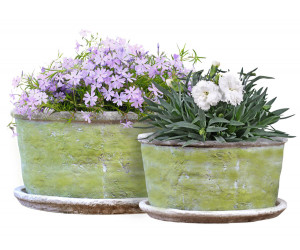 Small Harrington Green Wide Planter