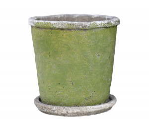 Small Harrington Green Taper Plant Pot