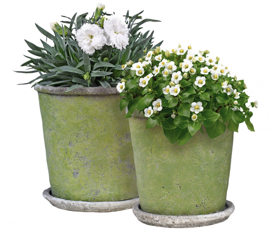 Small Harrington Green Taper Plant Pot
