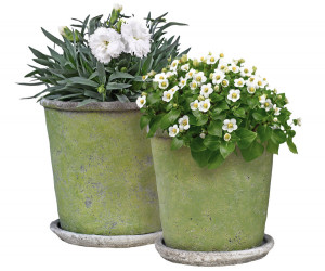 Small Harrington Green Taper Plant Pot