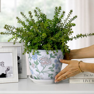 Medium Spring Flowers plant pot with green foliage on a white console beside silver photo frames and books