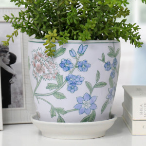 Close-up of the Small Spring Flowers plant pot with green foliage, a white saucer and pastel floral detail