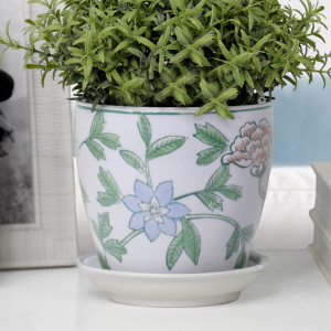 Close-up of the Extra Small Spring Flowers plant pot with green foliage, pastel flowers and a white saucer