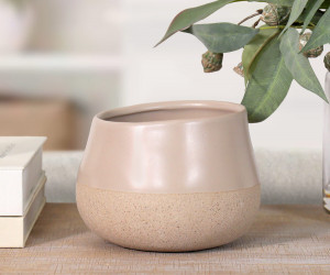 Andora Desert Rose Ceramic Plant Pot