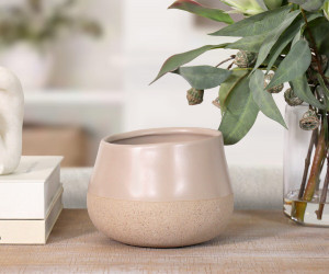 Andora Desert Rose Ceramic Plant Pot