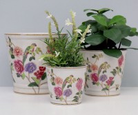 Hollingbury Peony & Parrots Planter Pot - Small