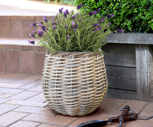 Small Carlotta Polyrattan Basket