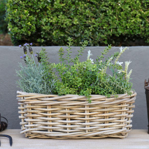 Small Amalfi Rectangle Rattan Planter Basket, a decorative container for displaying plants