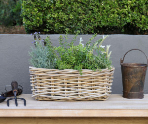 Small Amalfi Rectangle Rattan Planter Basket