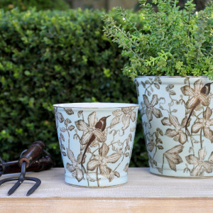 Small Juliet Clematis Blue Plant Pot, a decorative container for displaying plants