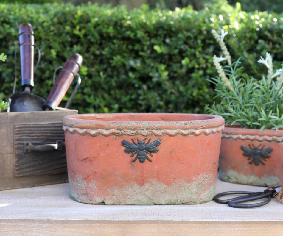 Large Oval French Bee Terracotta Plant Pot