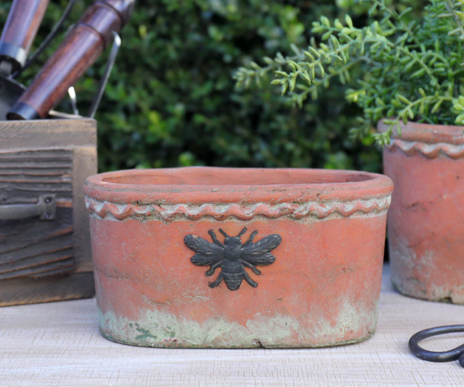 Small Oval French Bee Terracotta Plant Pot