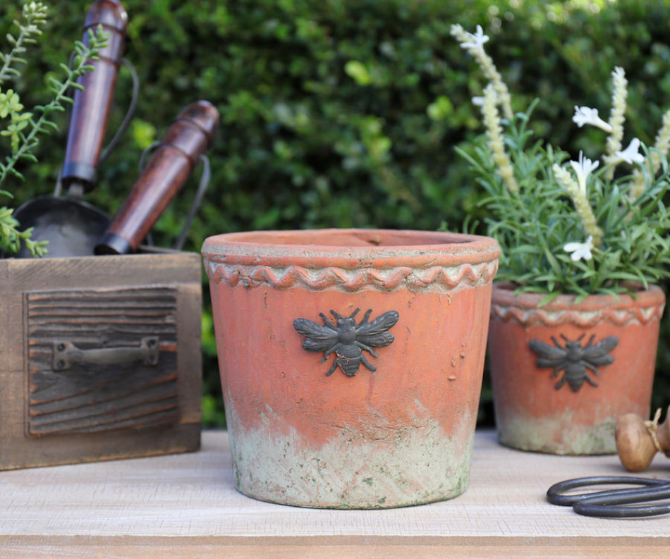 Large Round French Bee Terracotta Plant Pot