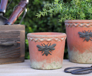 Small Round French Bee Terracotta Plant Pot