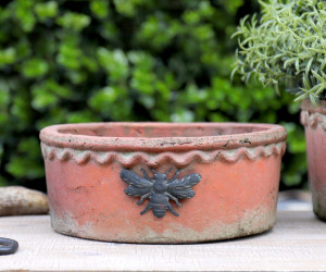 Small Shallow French Bee Terracotta Plant Pot