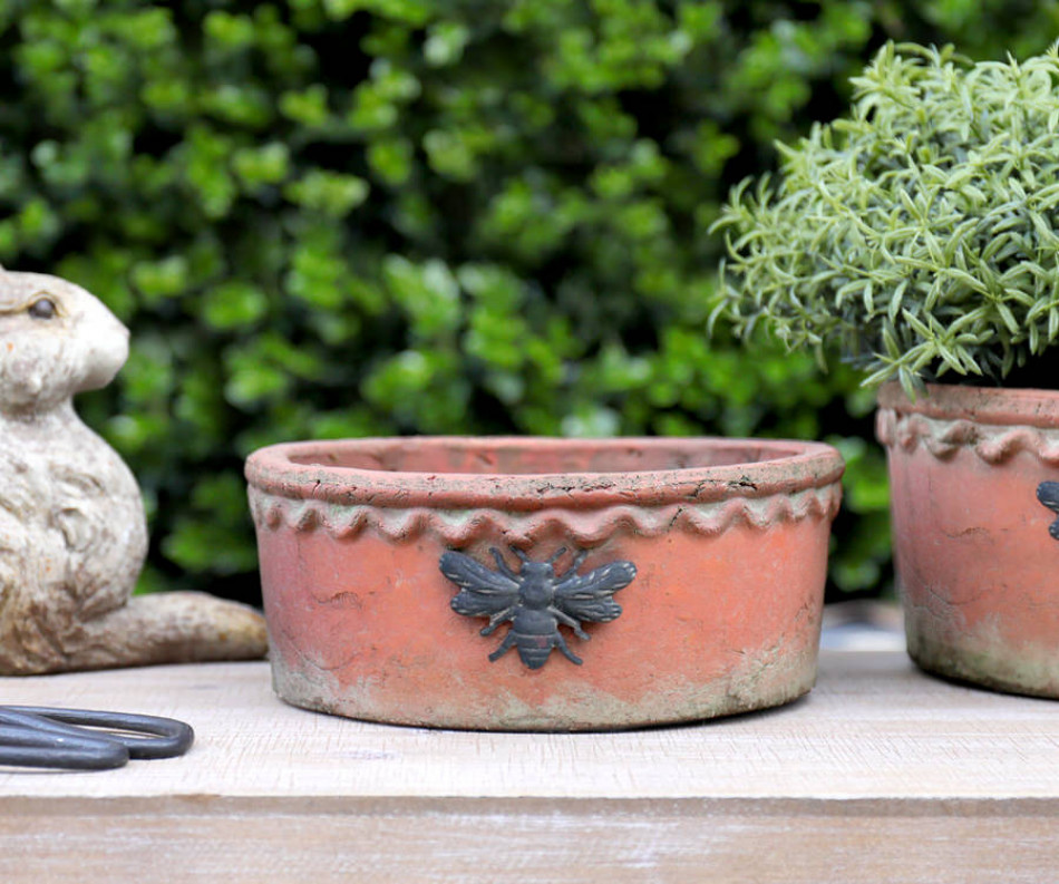 Small Shallow French Bee Terracotta Plant Pot