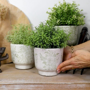 Set 3 Fernleigh Green & White Herb Pots, shown as a standalone product for clear identification