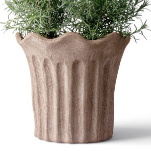 Front view of large scalloped terracotta plant pot containing rosemary