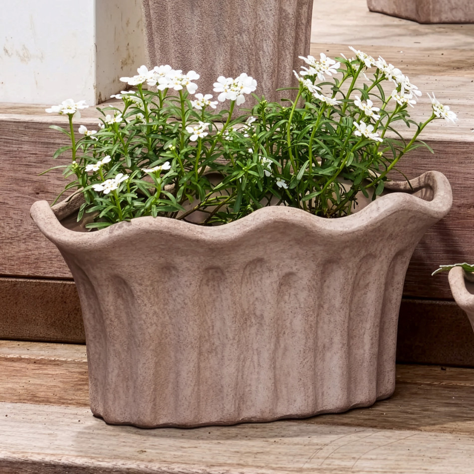 Small sand terracotta oval planter with scalloped rim and white flowers on wooden steps